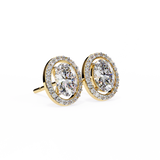 Oval Solitaire Studs with Halo.