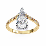 The Crown Jewel